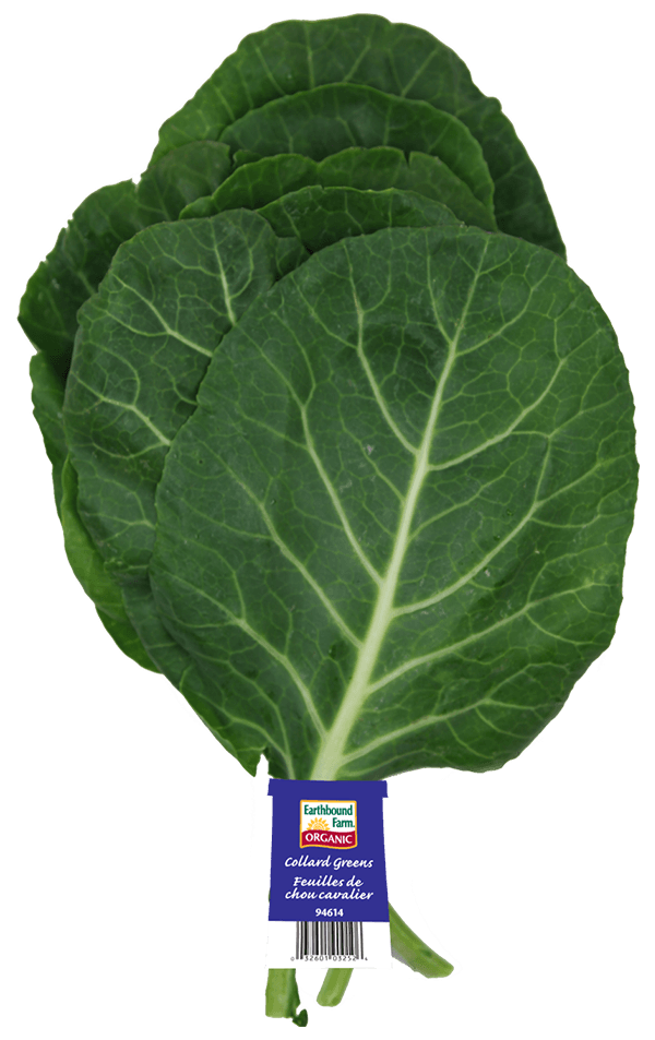 Fresh Organic Collard Greens Earthbound Farm Organic Since 1984