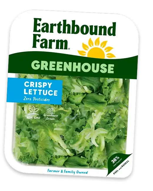 Greenhouse Spring Mix