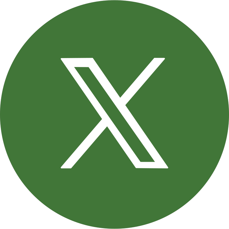 X (formerly Twitter) icon