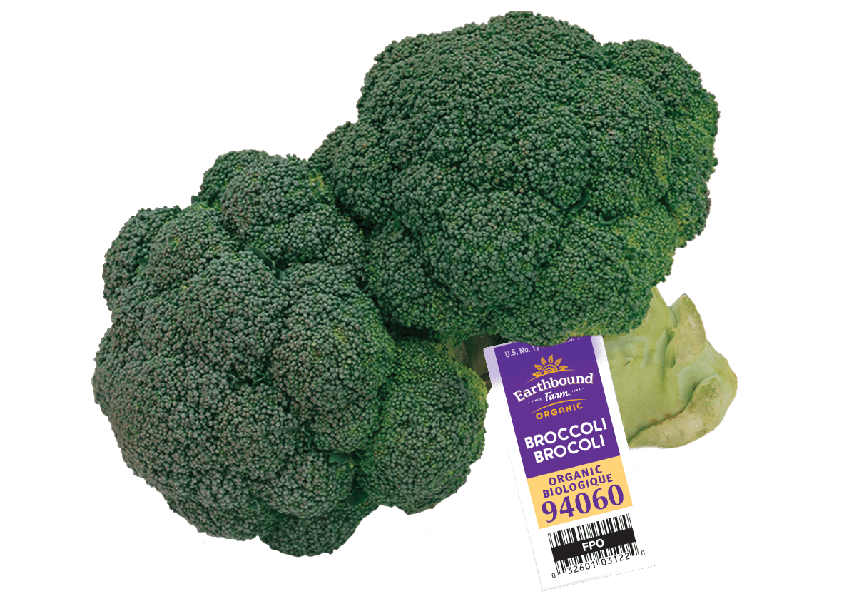 Fresh Organic Broccoli Earthbound Farm Organic Since 1984