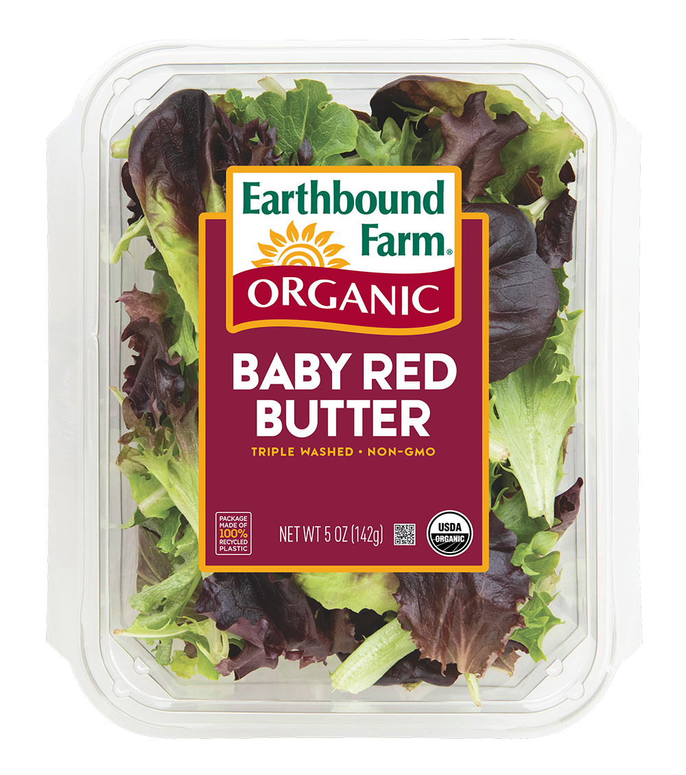 Organic Baby Red Butter Lettuce