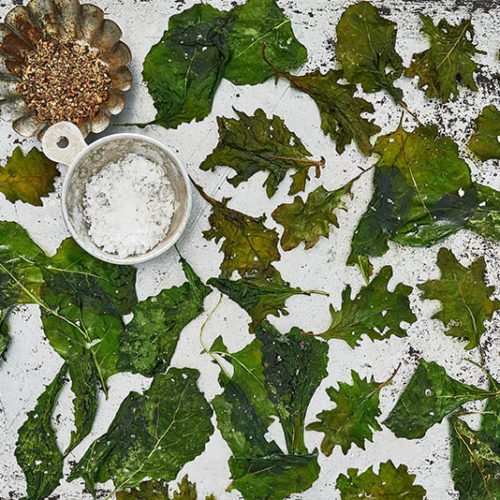 Baby Kale Chips Earthbound Farm