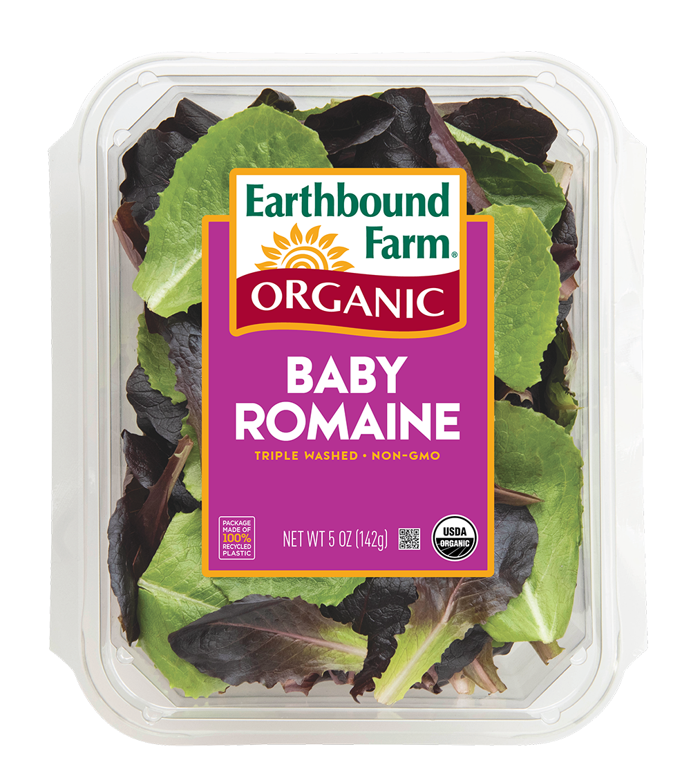 Organic Baby Romaine