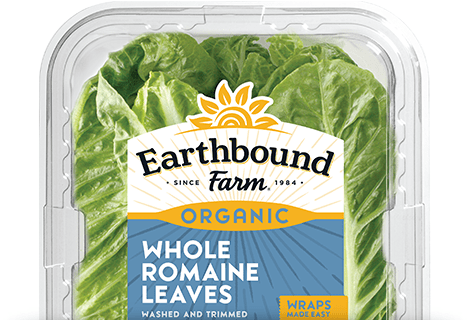 Organic Whole Romaine Leaves