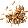Tamari Sunflower Seeds
