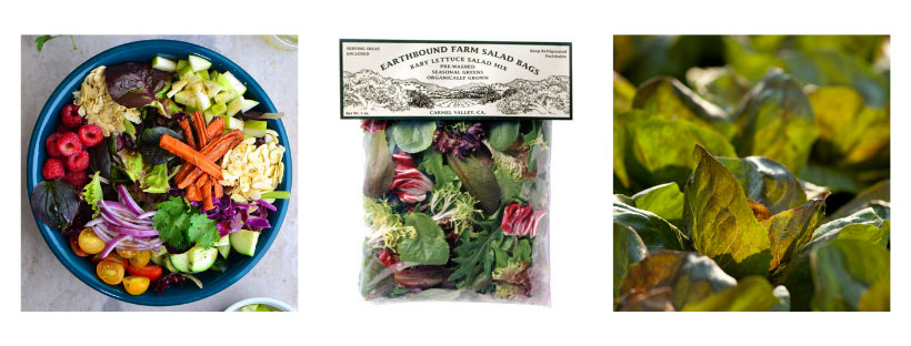 Follow Earthbound Farm Organic on Instagram