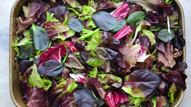 Organic Rose Salad Blend Recipe