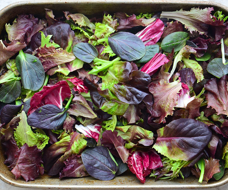 Organic Rose Salad Blend Recipe
