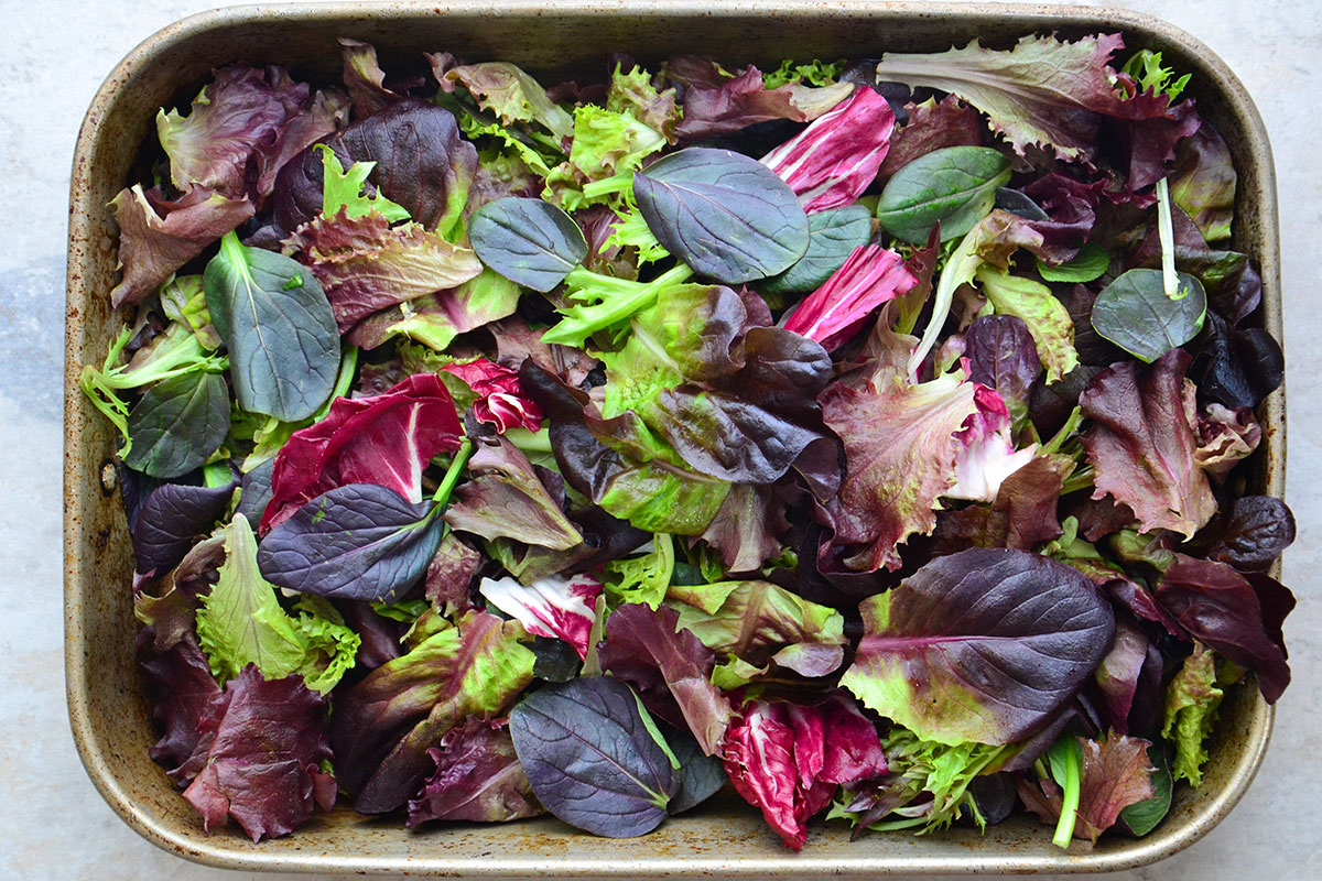 Organic Rose Salad Blend Recipe