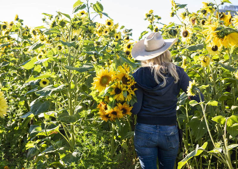 EBF_Farmstand_05_800x571