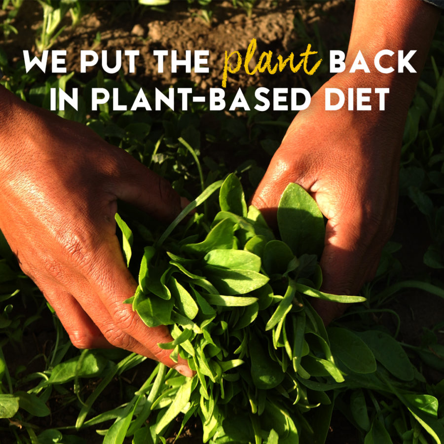 Put the plant back in plant-based diet