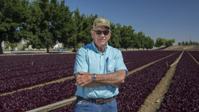 farmer John Romans