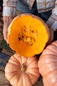 porcelain doll pumpkin