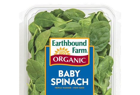 organic baby spinach