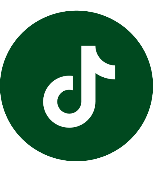 TikTok icon