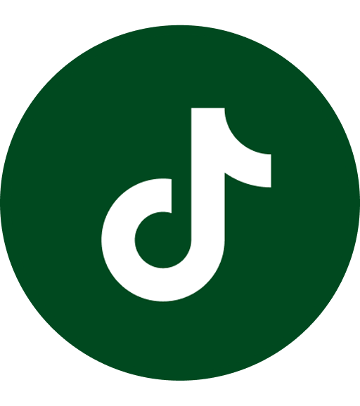 TikTok icon