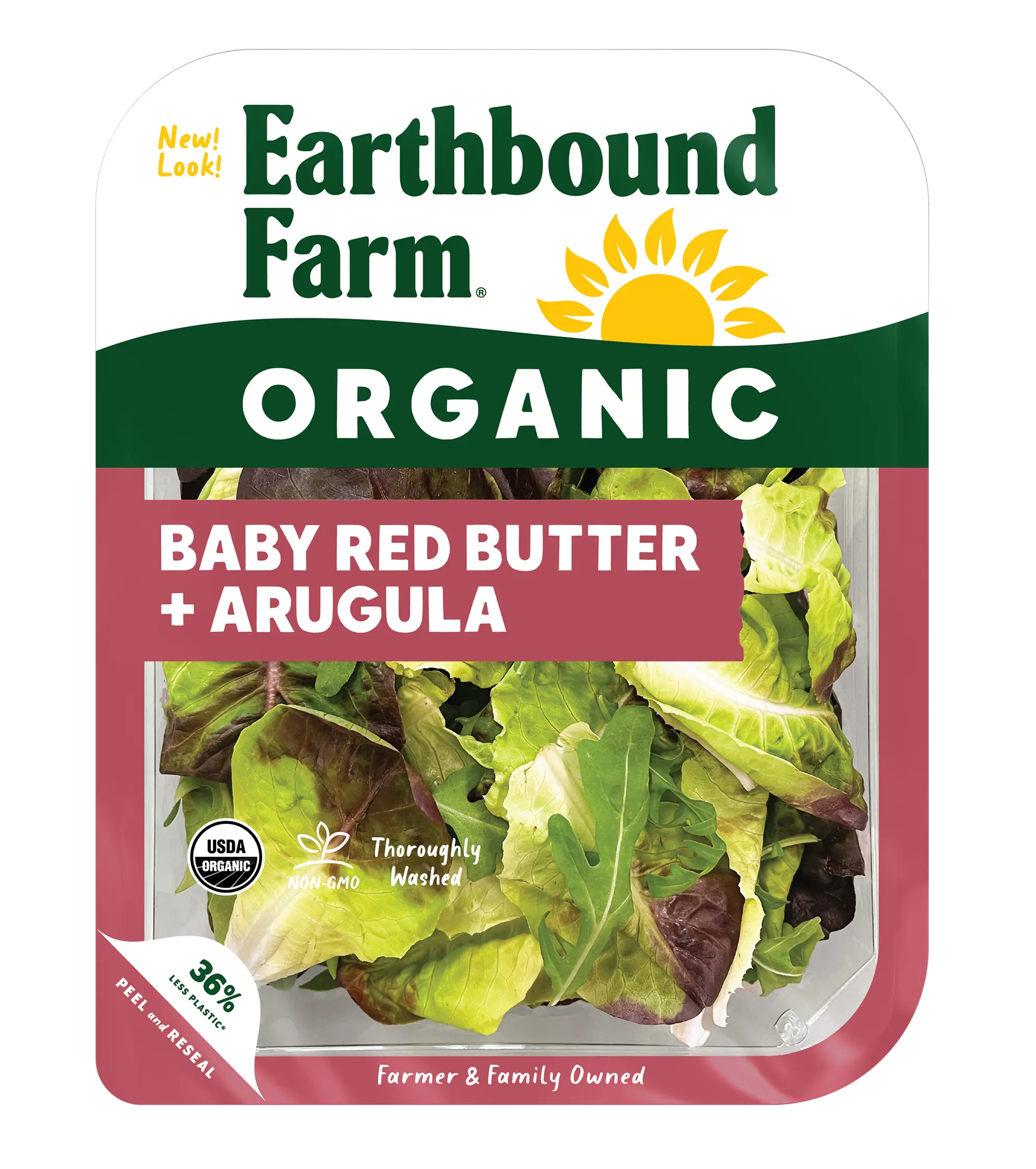 Romaine + Butter Crunch