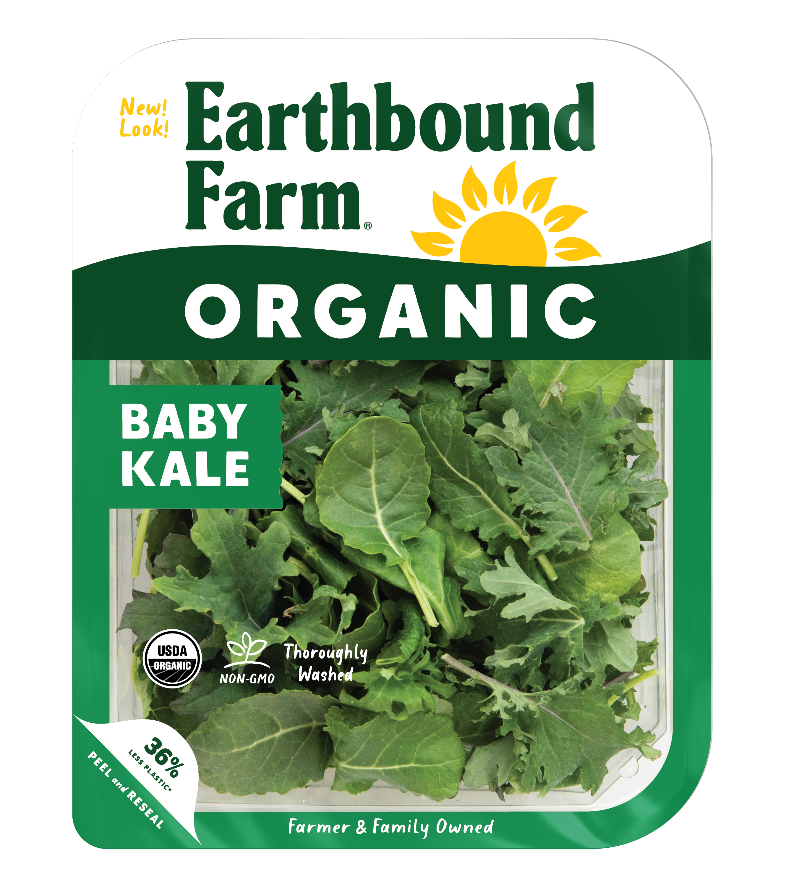 Organic Baby Kale