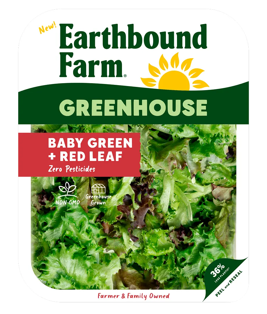 Baby Green & Red Leaf