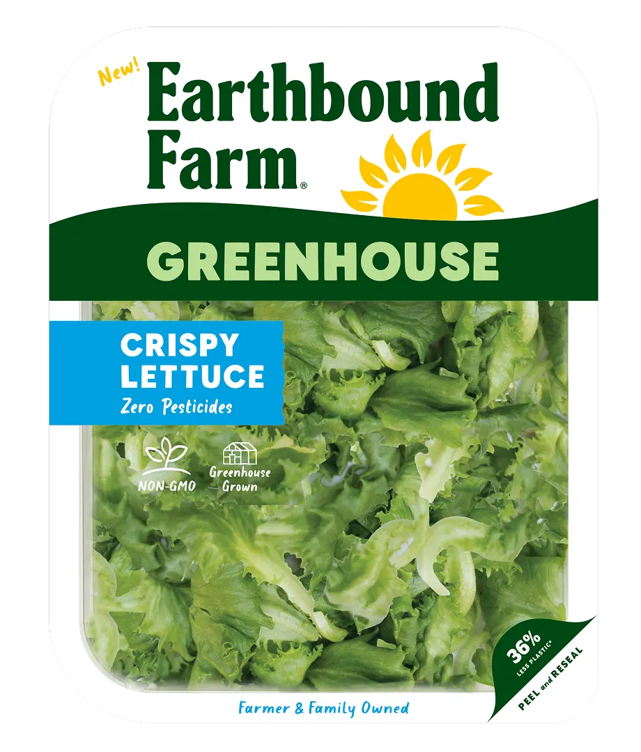 Crispy Lettuce