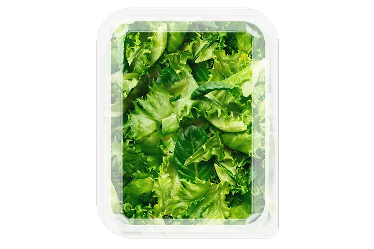 EBF 4oz Romaine Crunch-Back-VA