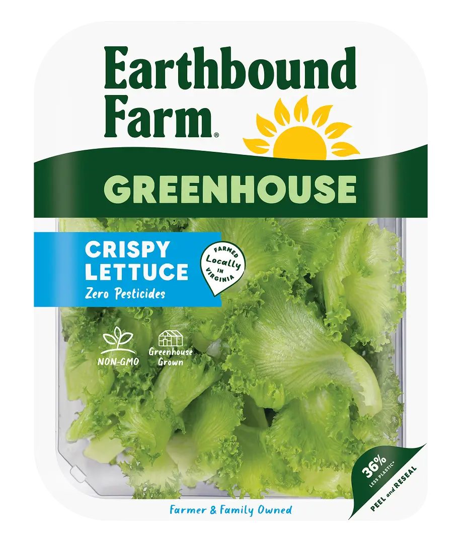 Crispy Lettuce