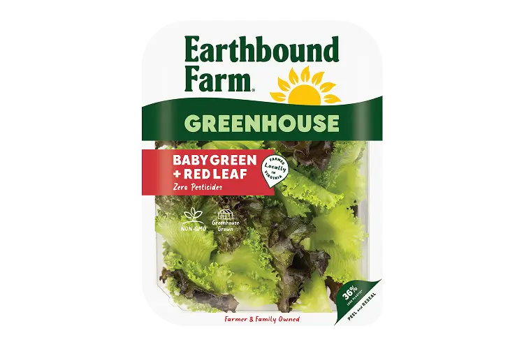 Ebf Gh 4oz Green Red Leaf Front