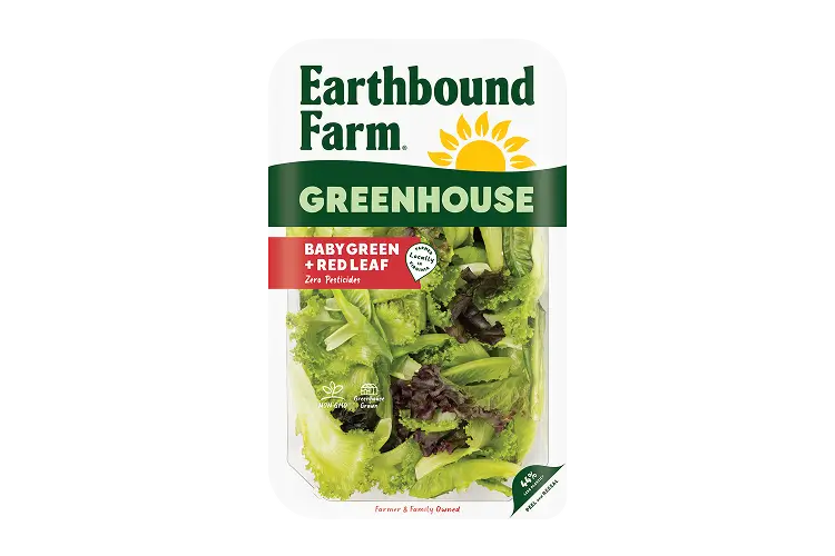 EBF GH 8oz Green Red Leaf Front