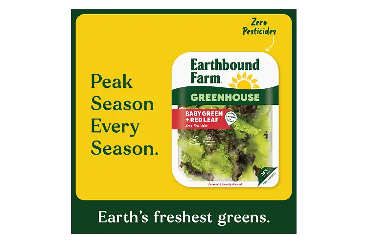 EBF GH Baby Green & Red Leaf 4oz_Segment Callouts