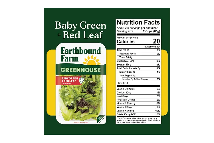 EBF GH Baby Green & Red Leaf 8oz_NFP-new