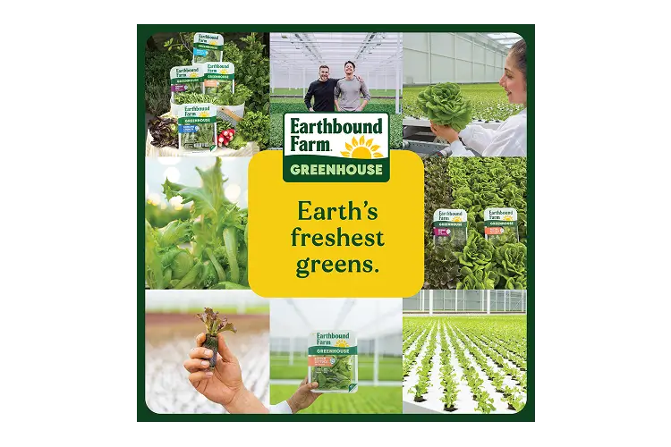EBF GH Crispy Lettuce 4oz_Brand Highlights