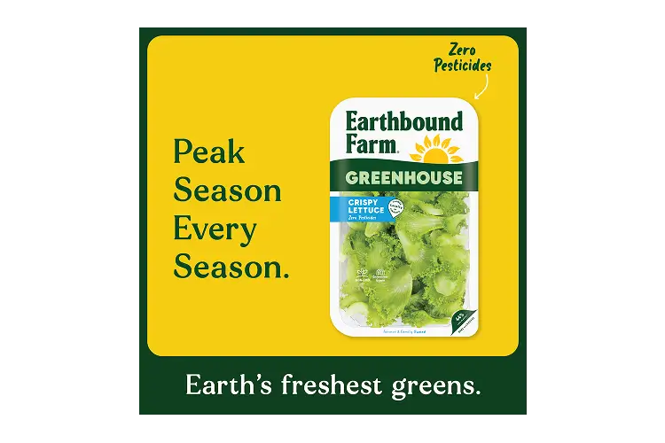 Ebf Gh Crispy Lettuce 8oz_segment Callouts New