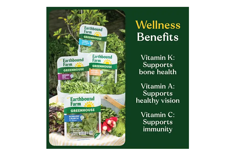 EBF GH Crispy Lettuce 8oz_Welness Benefits
