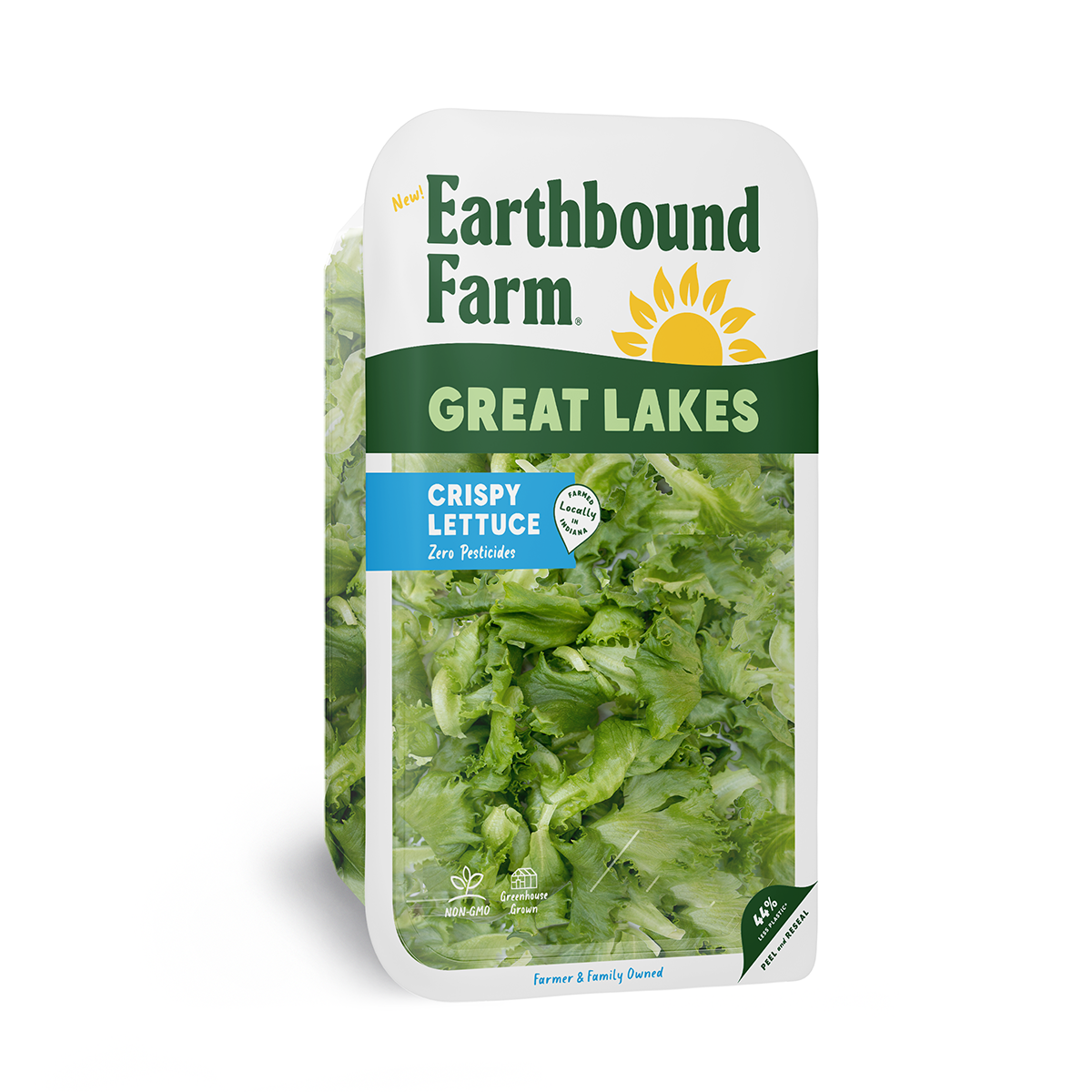 Crispy Lettuce-8oz Half view Top