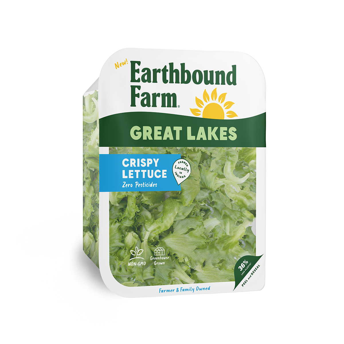 Crispy Lettuce-4oz Half view Top