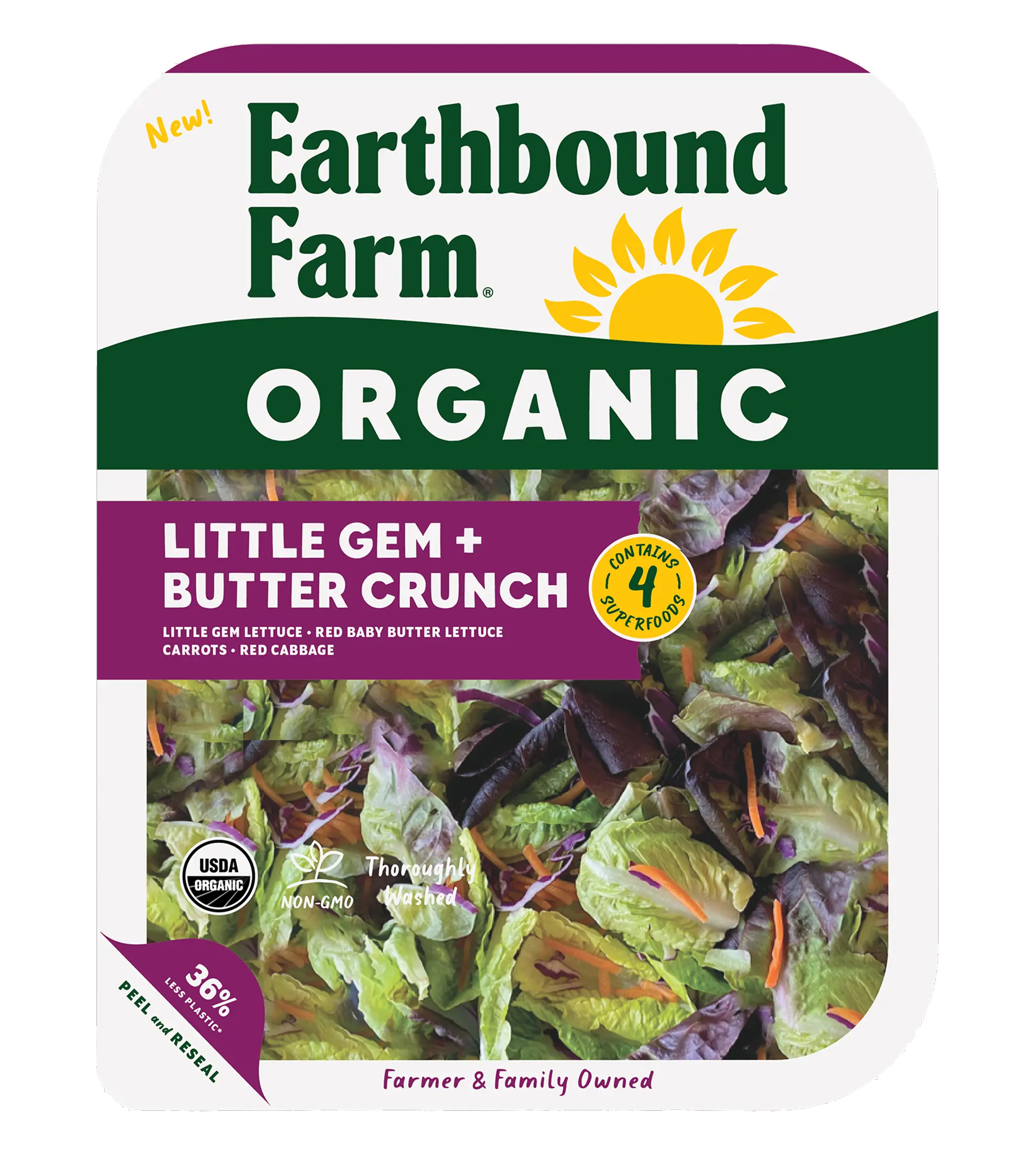 Little Gem + Butter Crunch