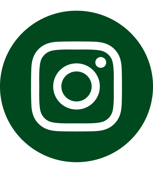 Instagram Icon