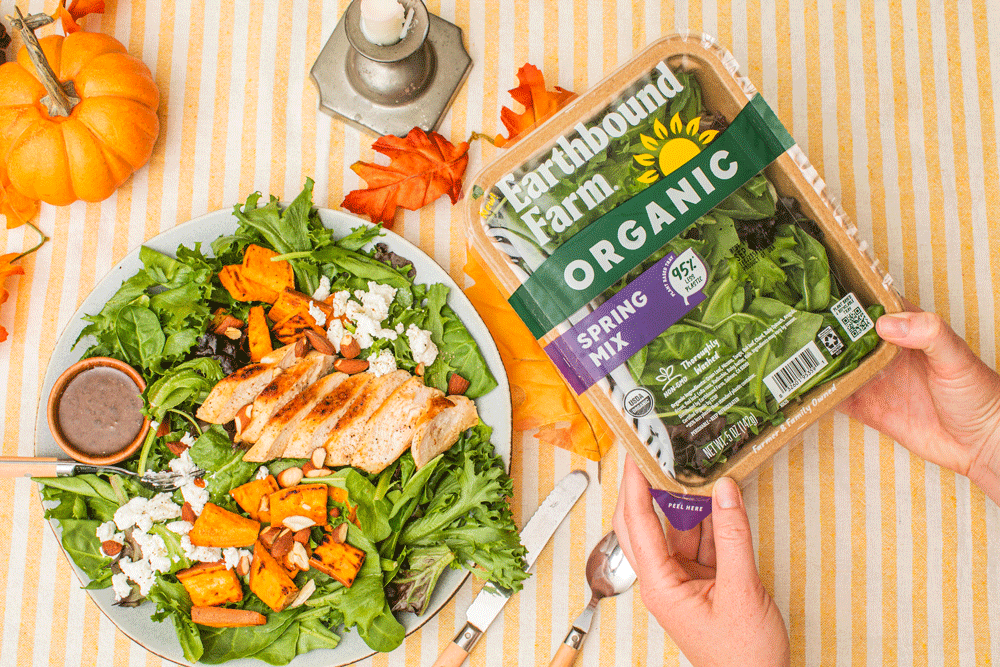 Harvest Chicken Salad
