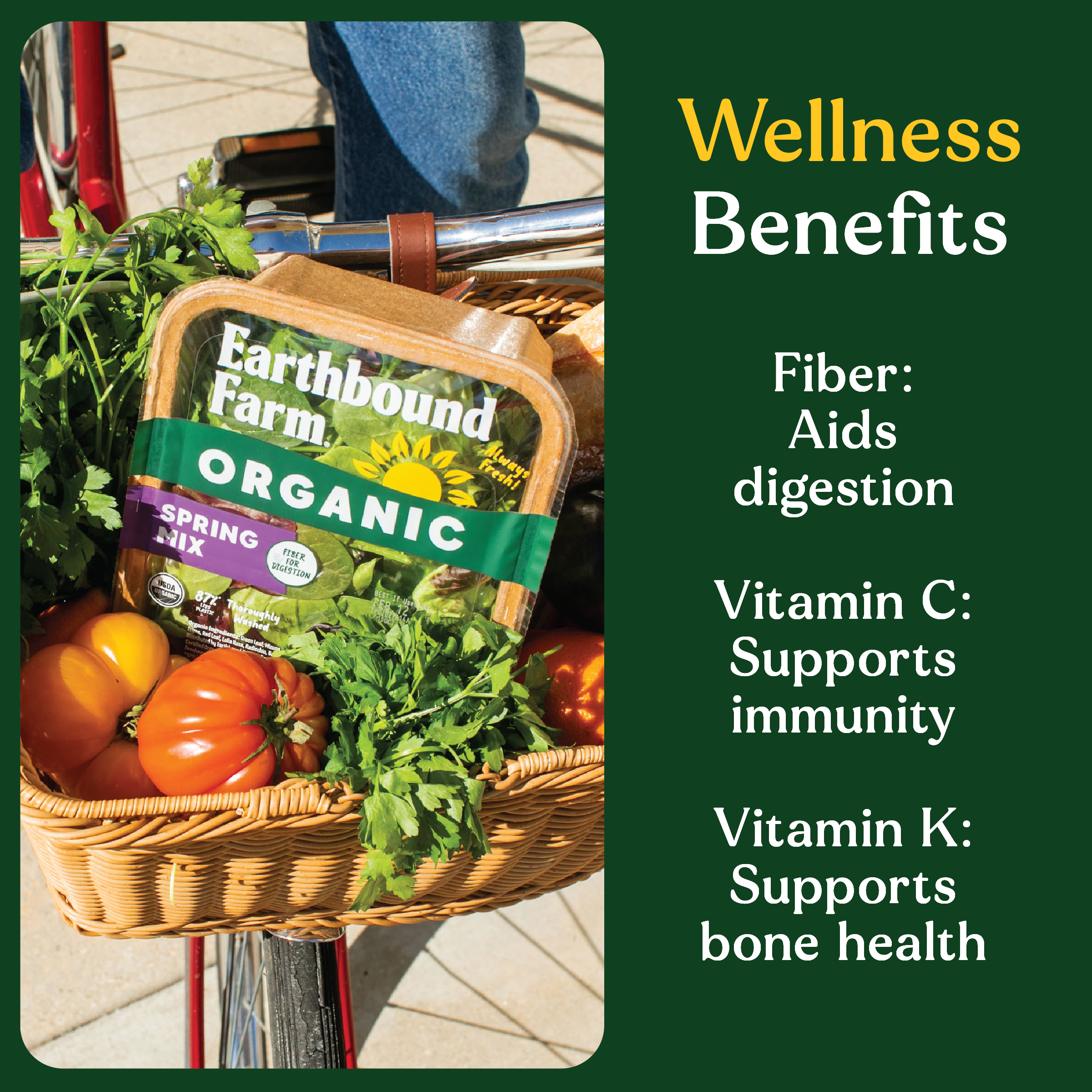 EBF Spring Mix 5oz Fiber Wellness Benefits