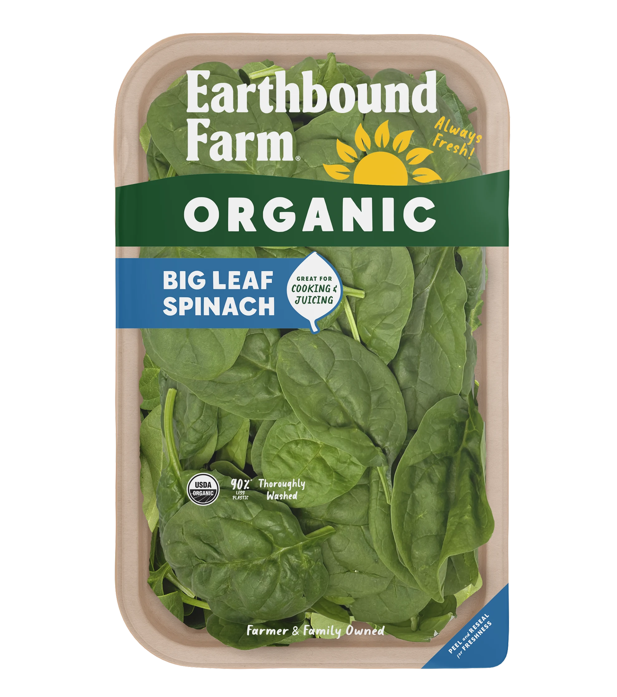 Big Leaf Spinach