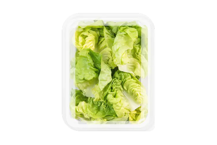 EBF-4oz-ButterLettuce-Back