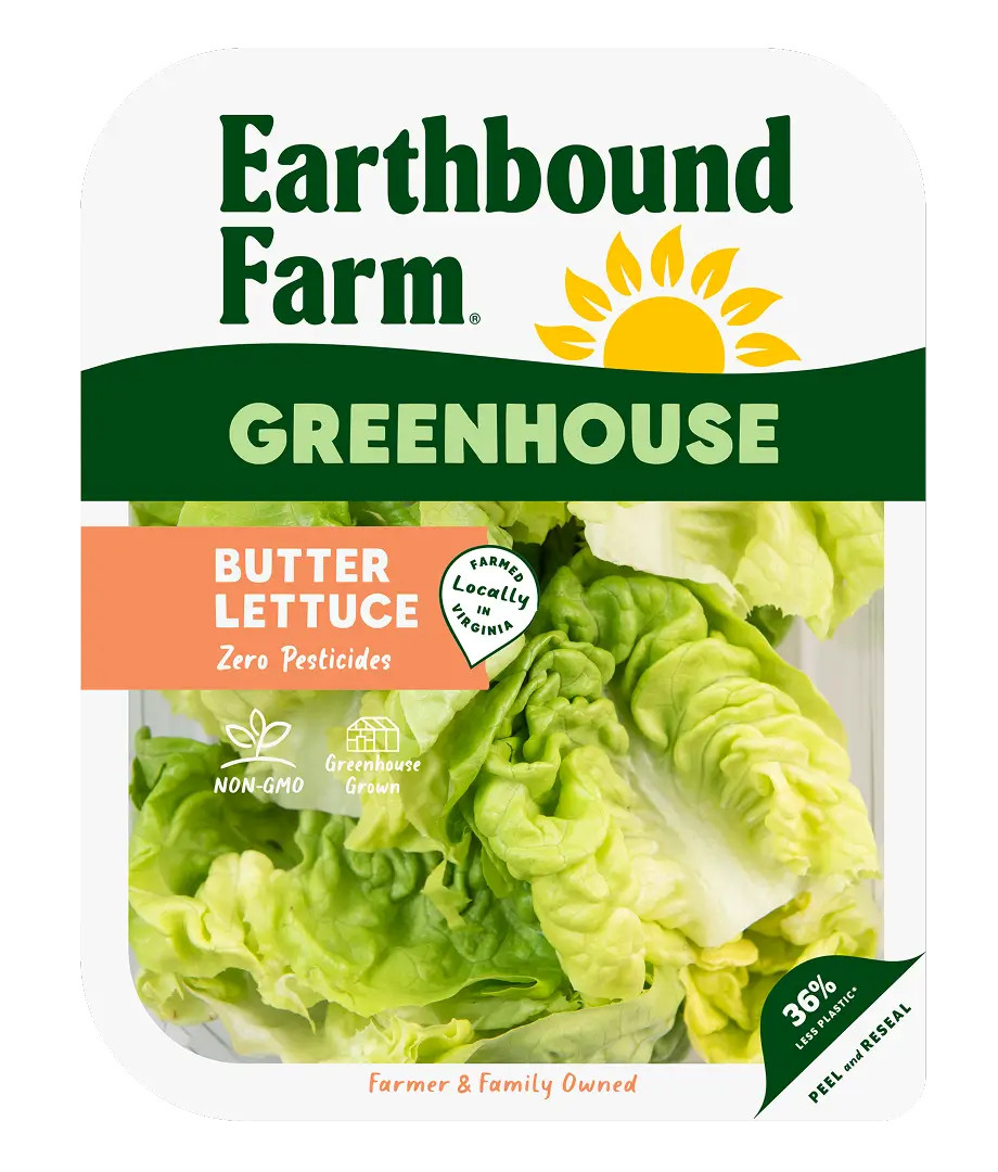 Butter Lettuce