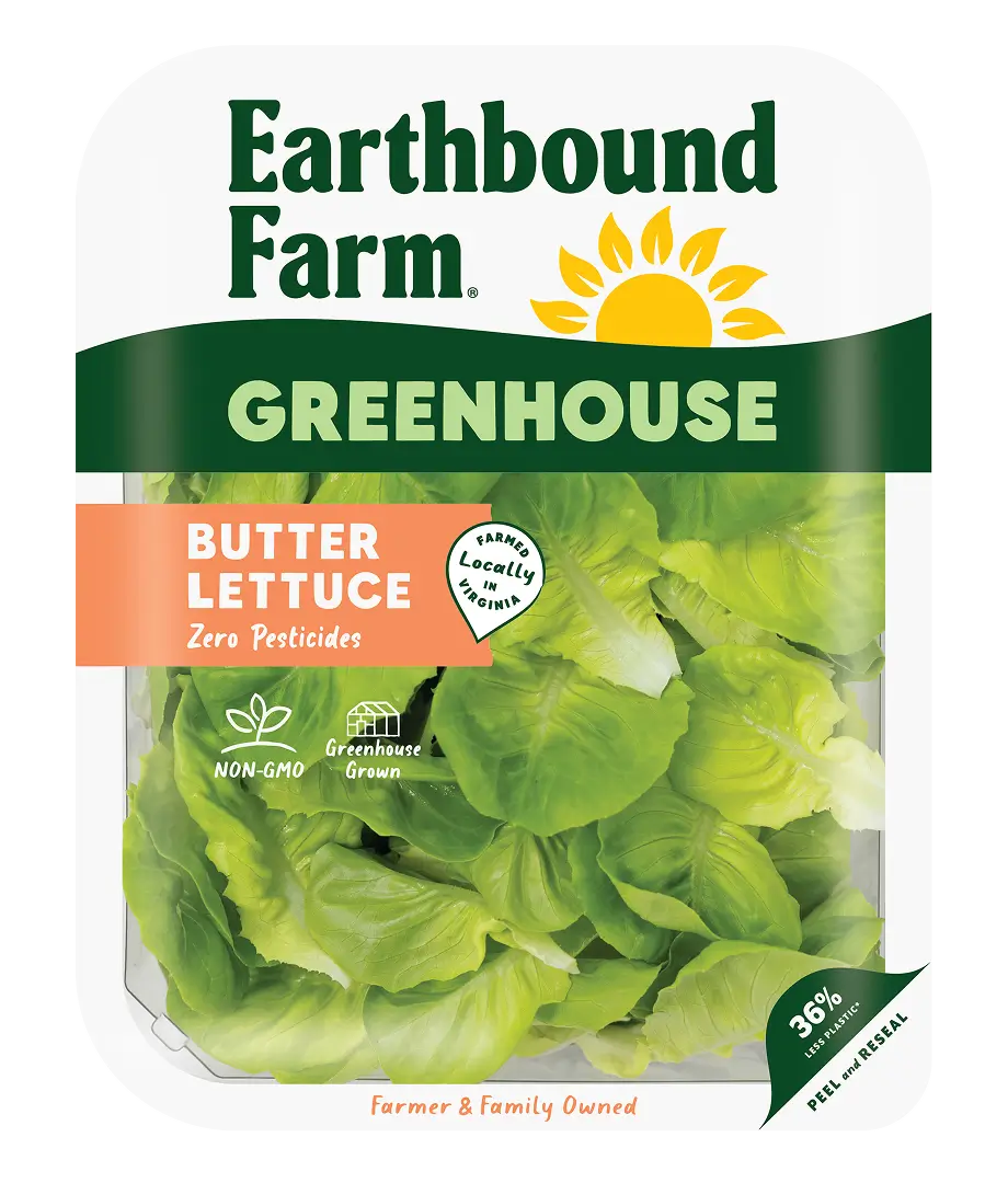 Butter Lettuce