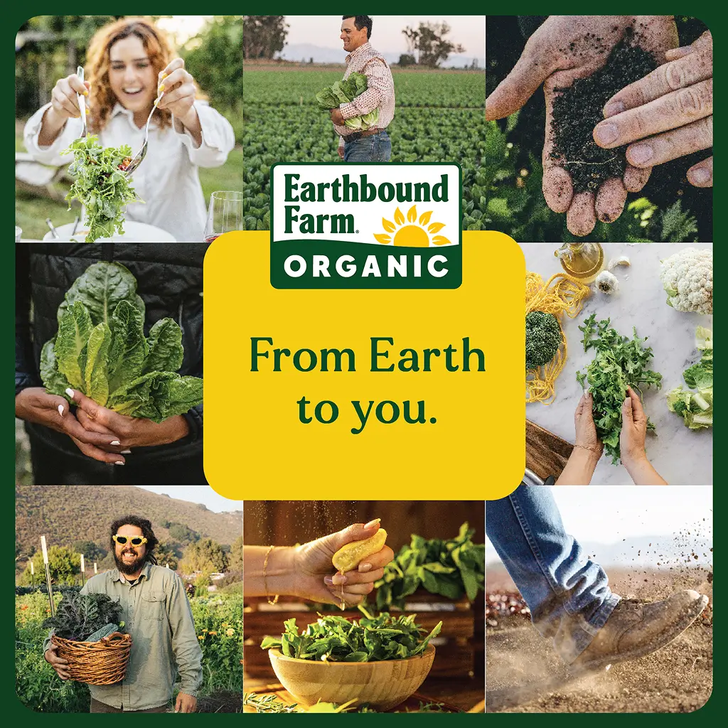 EBF Renew Greens Brand Highlights