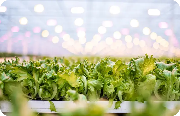 Farm Image