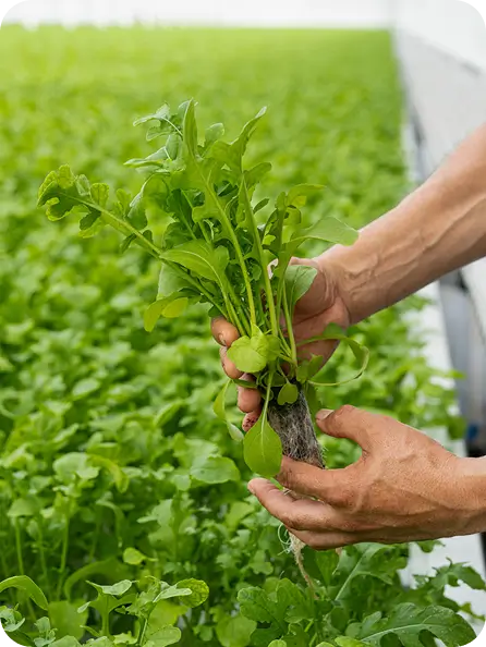 Farm Image